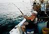Dick with a  big one on the line fishing with sons marty and steve wilson, gulf of mexico 2002