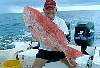 Dick w/32# Red Snapper caught in 260' Gulf of Mexico - 2003
